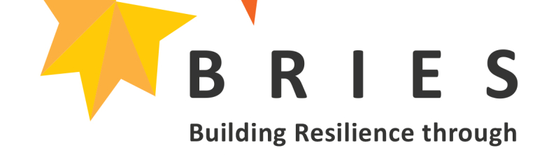 Logo: Building Resilience through Inclusive Education Systems