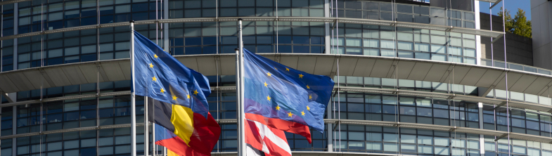 EU and member state flags fly outside the European Parliament building